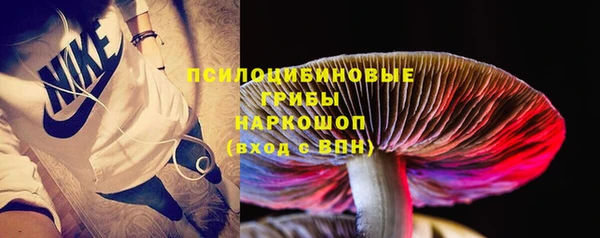 мет Белокуриха